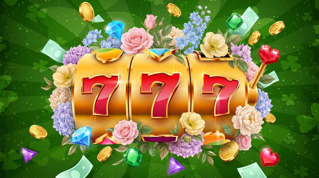 https://5gringosfr.com https://5gringosfr.com